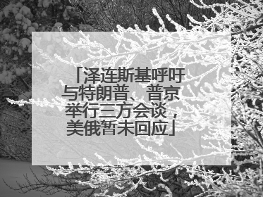 泽连斯基呼吁与特朗普、普京举行三方会谈，美俄暂未回应