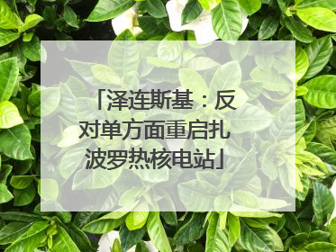 泽连斯基：反对单方面重启扎波罗热核电站