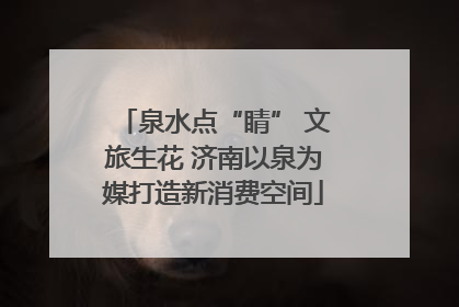 泉水点“睛” 文旅生花 济南以泉为媒打造新消费空间
