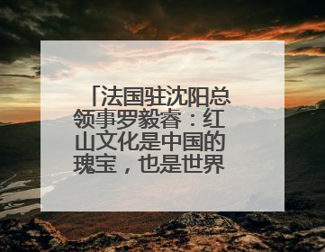 法国驻沈阳总领事罗毅睿：红山文化是中国的瑰宝，也是世界文化遗产