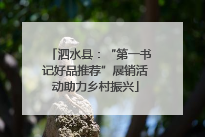 泗水县：“第一书记好品推荐”展销活动助力乡村振兴