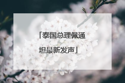 泰国总理佩通坦最新发声