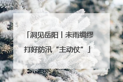 洞见岳阳丨未雨绸缪 打好防汛“主动仗”