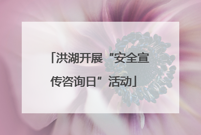 洪湖开展“安全宣传咨询日”活动