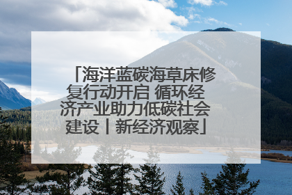 海洋蓝碳海草床修复行动开启 循环经济产业助力低碳社会建设丨新经济观察