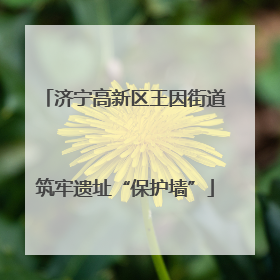 济宁高新区王因街道筑牢遗址“保护墙”