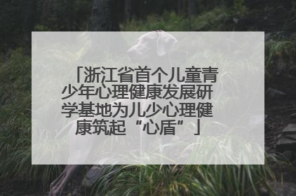 浙江省首个儿童青少年心理健康发展研学基地为儿少心理健康筑起“心盾”