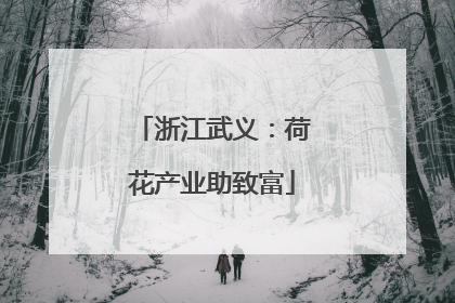 浙江武义：荷花产业助致富