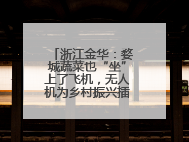 浙江金华：婺城蔬菜也“坐”上了飞机，无人机为乡村振兴插上“翅膀”