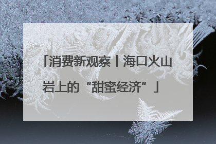 消费新观察丨海口火山岩上的“甜蜜经济”