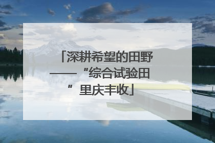 深耕希望的田野——“综合试验田”里庆丰收