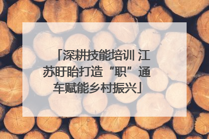 深耕技能培训 江苏盱眙打造“职”通车赋能乡村振兴