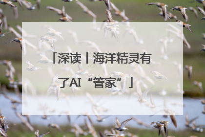 深读丨海洋精灵有了AI“管家”