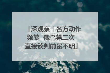 深观察丨各方动作频繁  俄乌第二次直接谈判前景不明