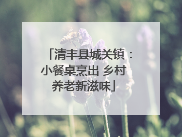 清丰县城关镇：小餐桌烹出 乡村养老新滋味
