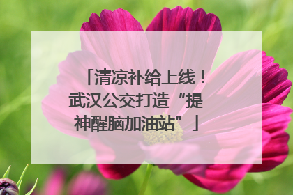 清凉补给上线！武汉公交打造“提神醒脑加油站”