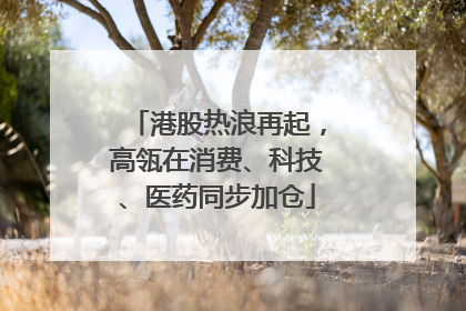 港股热浪再起，高瓴在消费、科技、医药同步加仓