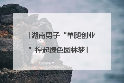 湖南男子“单腿创业”撑起绿色园林梦