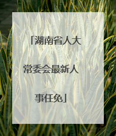 湖南省人大常委会最新人事任免