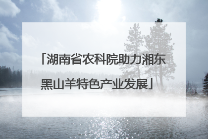 湖南省农科院助力湘东黑山羊特色产业发展