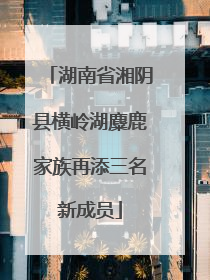 湖南省湘阴县横岭湖麋鹿家族再添三名新成员