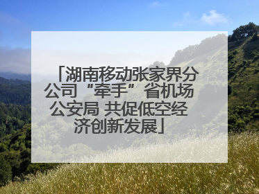 湖南移动张家界分公司“牵手”省机场公安局 共促低空经济创新发展