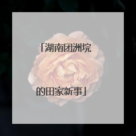 湖南团洲垸的田家新事