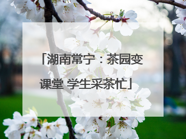 湖南常宁：茶园变课堂 学生采茶忙