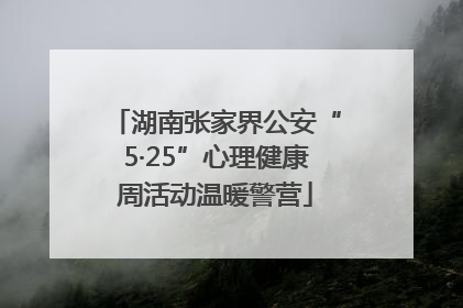湖南张家界公安“5·25”心理健康周活动温暖警营