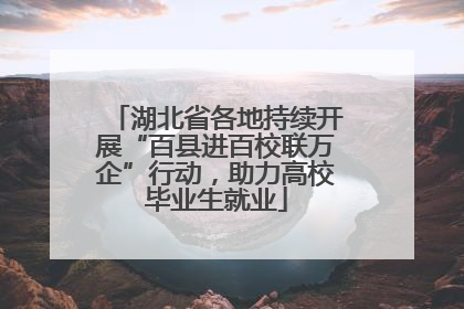湖北省各地持续开展“百县进百校联万企”行动，助力高校毕业生就业