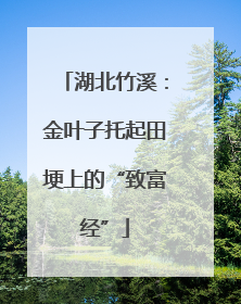 湖北竹溪：金叶子托起田埂上的“致富经”