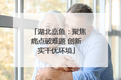 湖北嘉鱼：聚焦痛点破难题 创新实干优环境