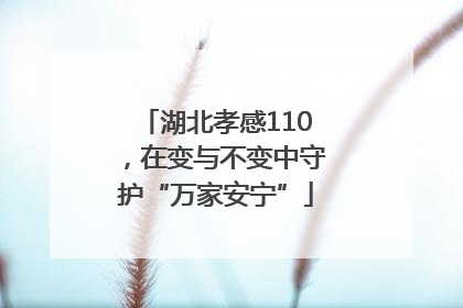 湖北孝感110，在变与不变中守护“万家安宁”