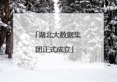 湖北大数据集团正式成立