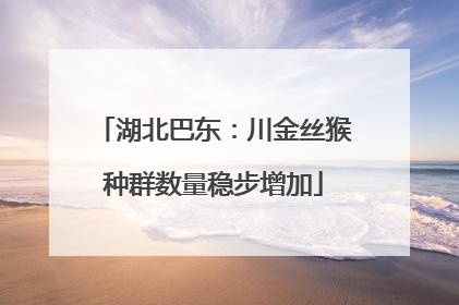 湖北巴东：川金丝猴种群数量稳步增加