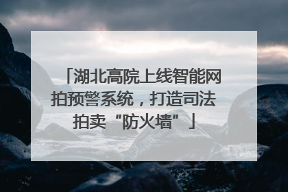 湖北高院上线智能网拍预警系统，打造司法拍卖“防火墙”