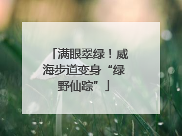 满眼翠绿！威海步道变身“绿野仙踪”