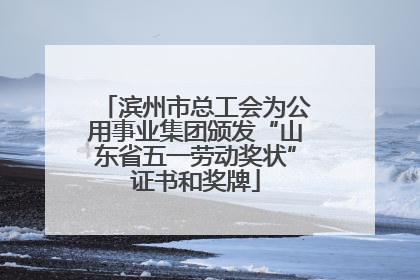 滨州市总工会为公用事业集团颁发“山东省五一劳动奖状”证书和奖牌