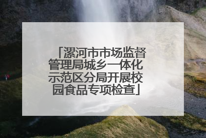漯河市市场监督管理局城乡一体化示范区分局开展校园食品专项检查