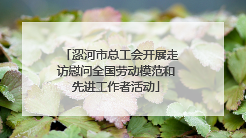 漯河市总工会开展走访慰问全国劳动模范和先进工作者活动