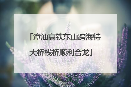 漳汕高铁东山跨海特大桥栈桥顺利合龙