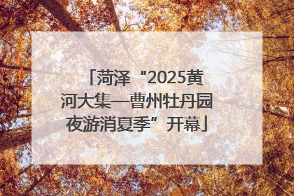 菏泽“2025黄河大集—曹州牡丹园夜游消夏季”开幕