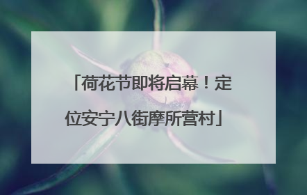 荷花节即将启幕！定位安宁八街摩所营村