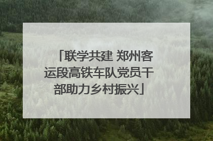 联学共建 郑州客运段高铁车队党员干部助力乡村振兴