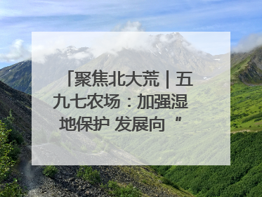 聚焦北大荒｜五九七农场：加强湿地保护 发展向“绿”而行