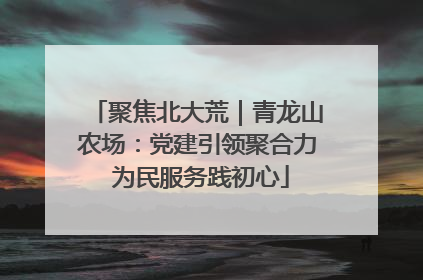 聚焦北大荒｜青龙山农场：党建引领聚合力 为民服务践初心