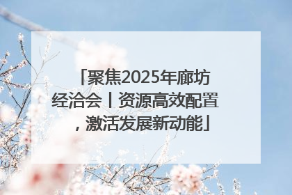 聚焦2025年廊坊经洽会丨资源高效配置，激活发展新动能