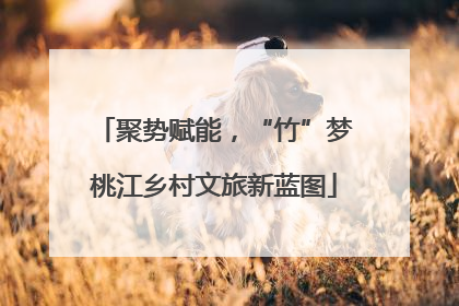 聚势赋能，“竹”梦桃江乡村文旅新蓝图