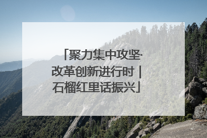 聚力集中攻坚·改革创新进行时｜石榴红里话振兴