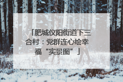肥城仪阳街道下三合村：党群连心绘幸福“实景图”